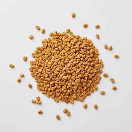 Fenugreek